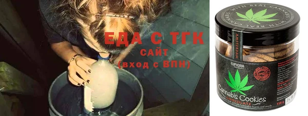 стаф Алзамай