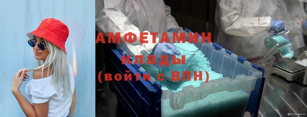 амф Алексин