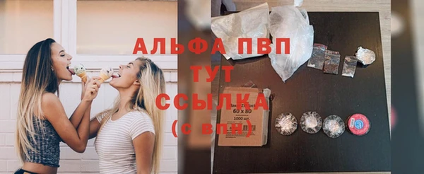 стаф Алзамай