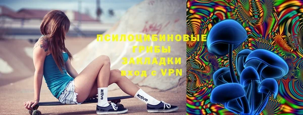 стаф Алзамай
