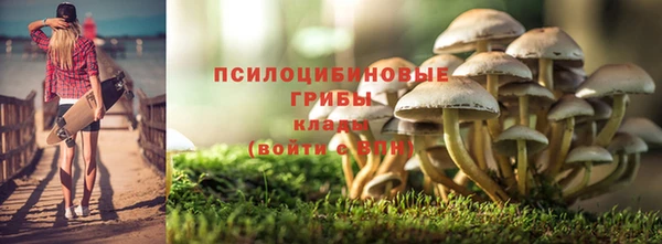 стаф Алзамай