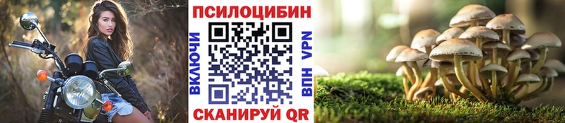 где купить наркоту  blacksprut маркетплейс  Галлюциногенные грибы Psilocybine cubensis  Жуковский 