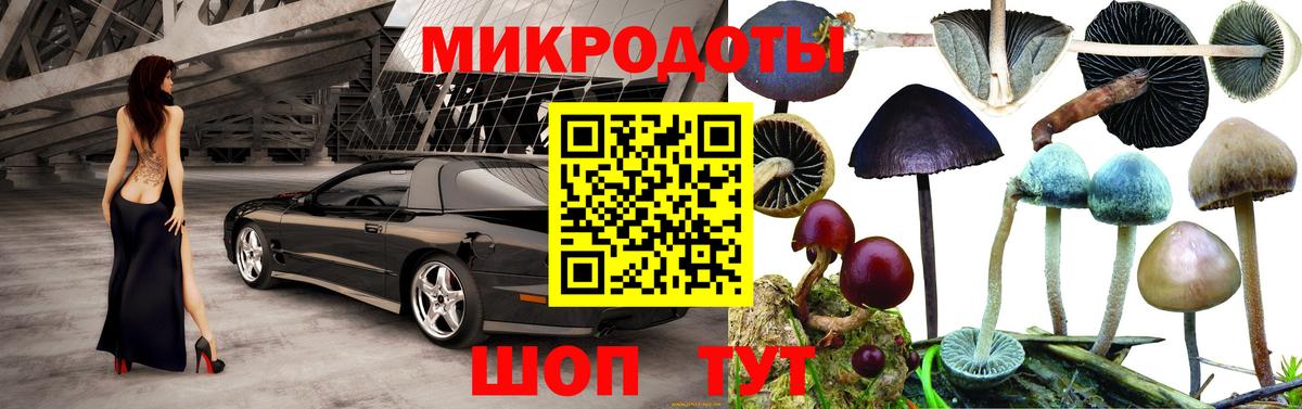 Псилоцибиновые грибы GOLDEN TEACHER  Вход с VPN  Жуковский 