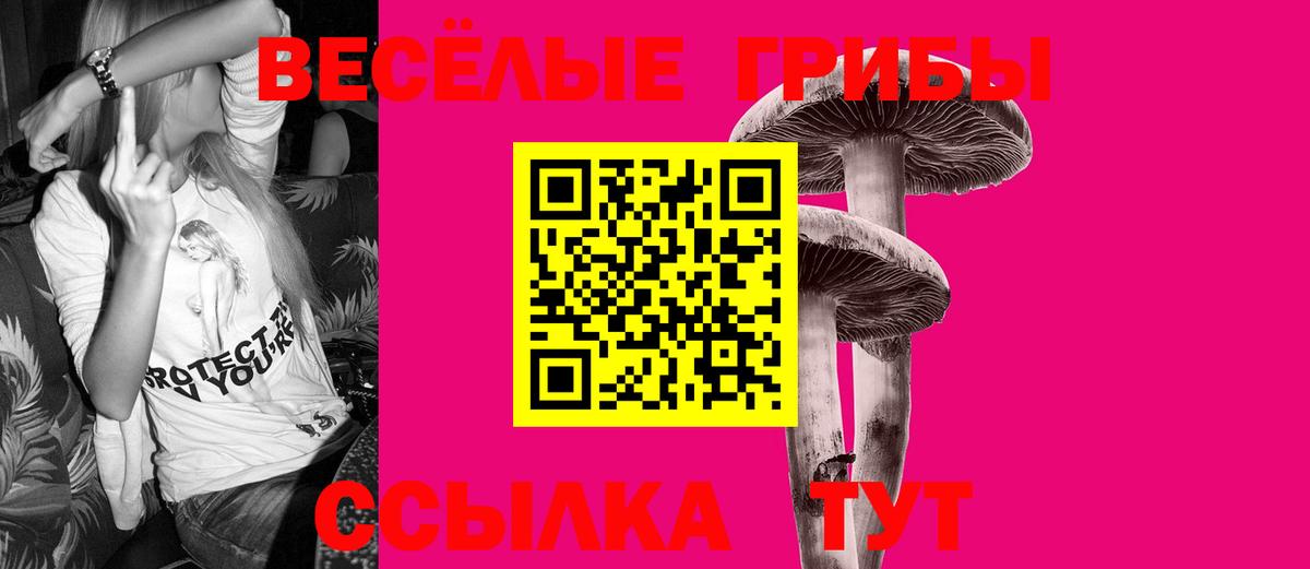 Галлюциногенные грибы мицелий Жуковский